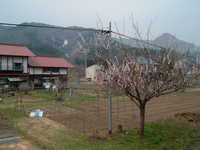  dscf0601.jpg 
