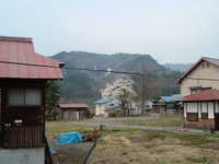  dscf0602.jpg 