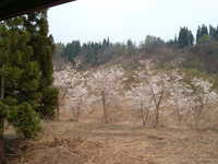  dscf0605.jpg 