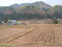 dscf0608.jpg 