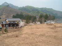  dscf0617.jpg 