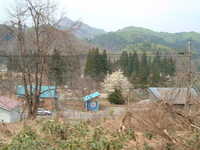  dscf0618.jpg 