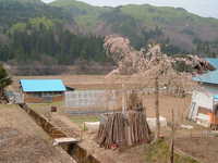  dscf0623.jpg 