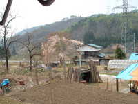  dscf0624.jpg 