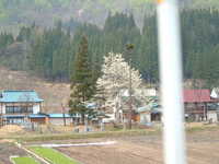  dscf0625.jpg 