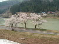  dscf0627.jpg 