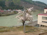  dscf0628.jpg 