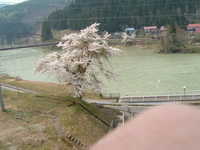  dscf0629.jpg 