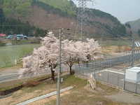  dscf0630.jpg 