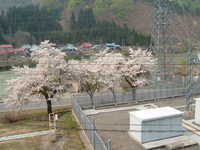  dscf0631.jpg 