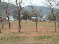  dscf0634.jpg 