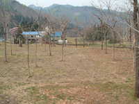  dscf0635.jpg 