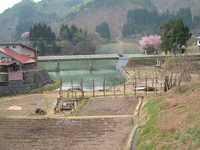  dscf0637.jpg 
