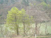  dscf0643.jpg 