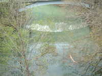  dscf0644.jpg 