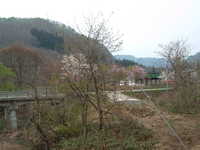  dscf0646.jpg 
