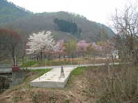  dscf0647.jpg 