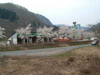  dscf0648.jpg 