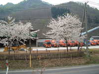  dscf0650.jpg 