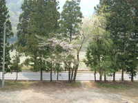  dscf0652.jpg 