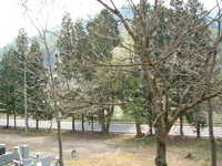  dscf0653.jpg 