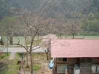  dscf0656.jpg 