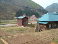  dscf0658.jpg 