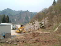  dscf0661.jpg 