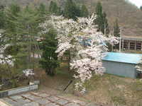  dscf0663.jpg 