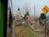  dscf0668.jpg 