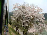  dscf0673.jpg 