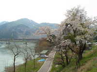  dscf0674.jpg 
