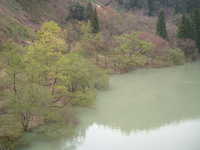  dscf0677.jpg 