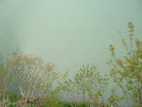  dscf0681.jpg 