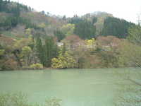  dscf0684.jpg 