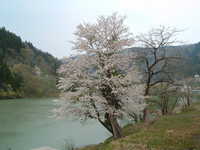 dscf0685.jpg 