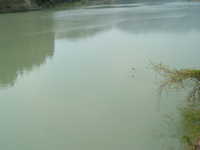  dscf0709.jpg 