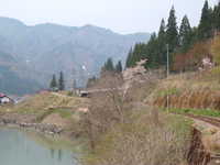  dscf0711.jpg 