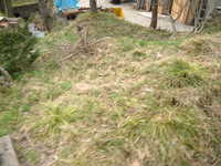  dscf0713.jpg 