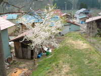  dscf0716.jpg 