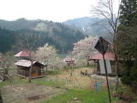  dscf0717.jpg 