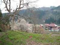  dscf0718.jpg 