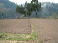  dscf0719.jpg 