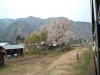  dscf0722.jpg 
