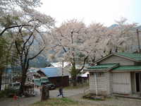  dscf0723.jpg 