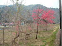  dscf0725.jpg 