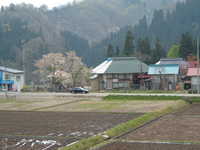  dscf0727.jpg 