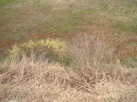  dscf0728.jpg 