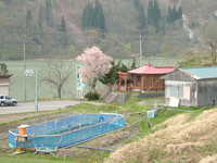  dscf0729.jpg 