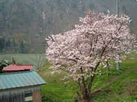  dscf0730.jpg 